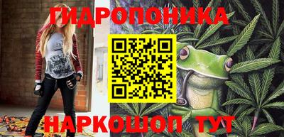 гашиш Кингисепп